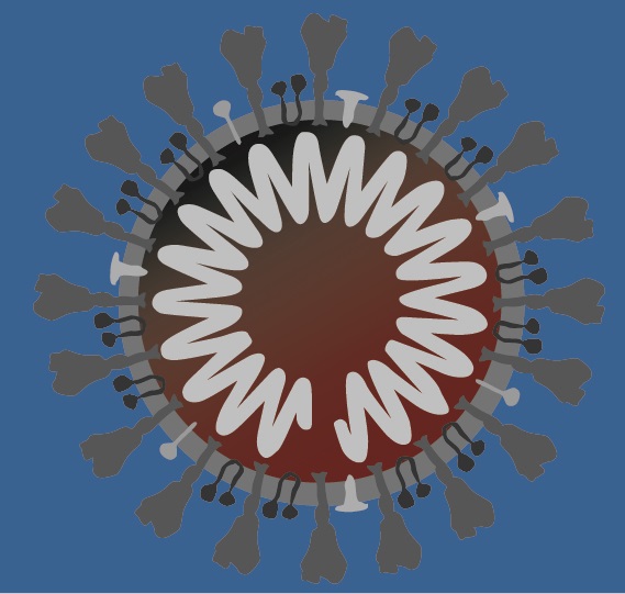 Informationen Zum Coronavirus Fur Altere Menschen Und Pflegeeinrichtungen Neawis Senioreninformationen